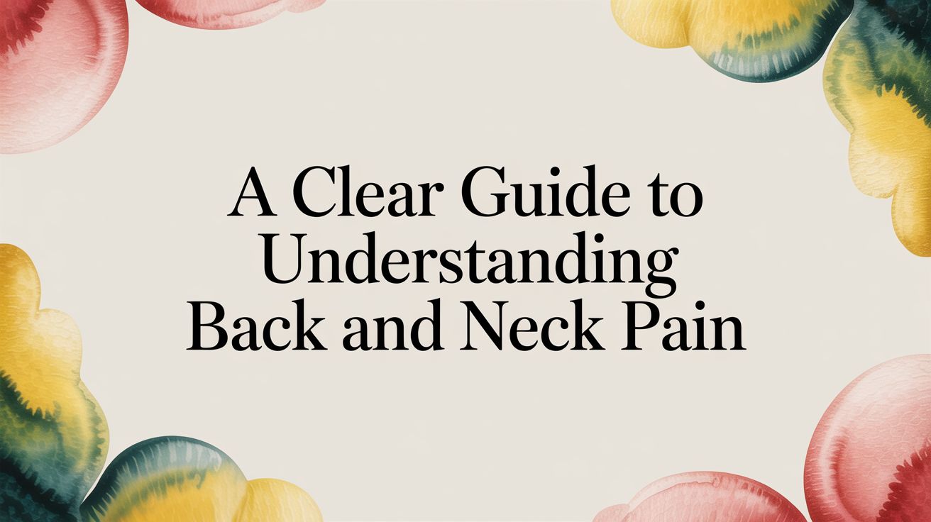 A Clear Guide to Understanding Back and Neck Pain