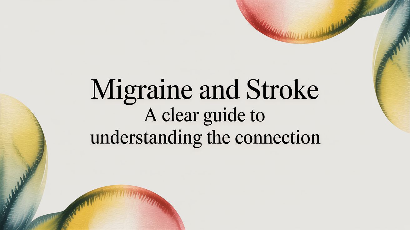 Migraine and Stroke: A Clear Guide to Understanding the Connection
