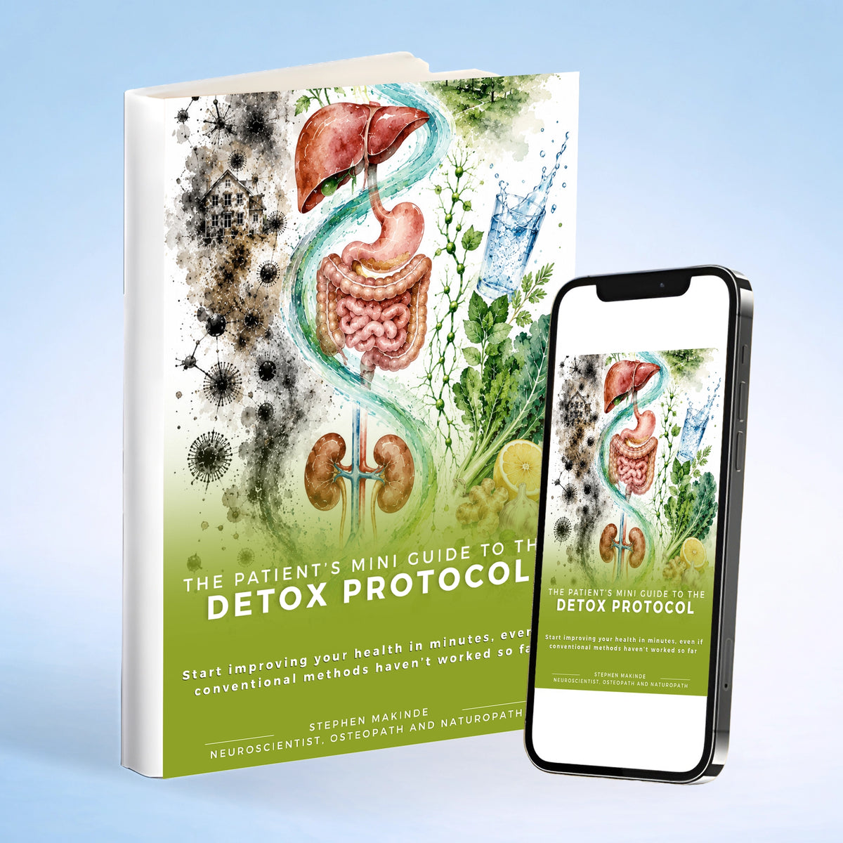 Detox Protocol Guide