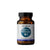 B Vitamins