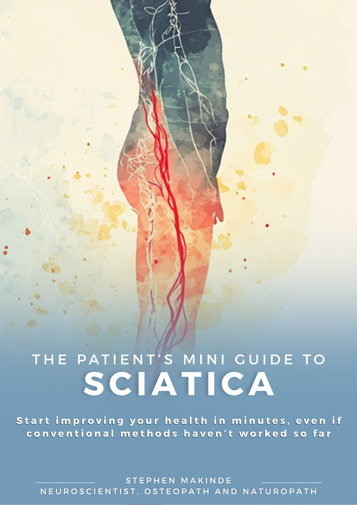 Sciatica Treatment Guide